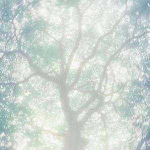 亚洲高清中文字幕
